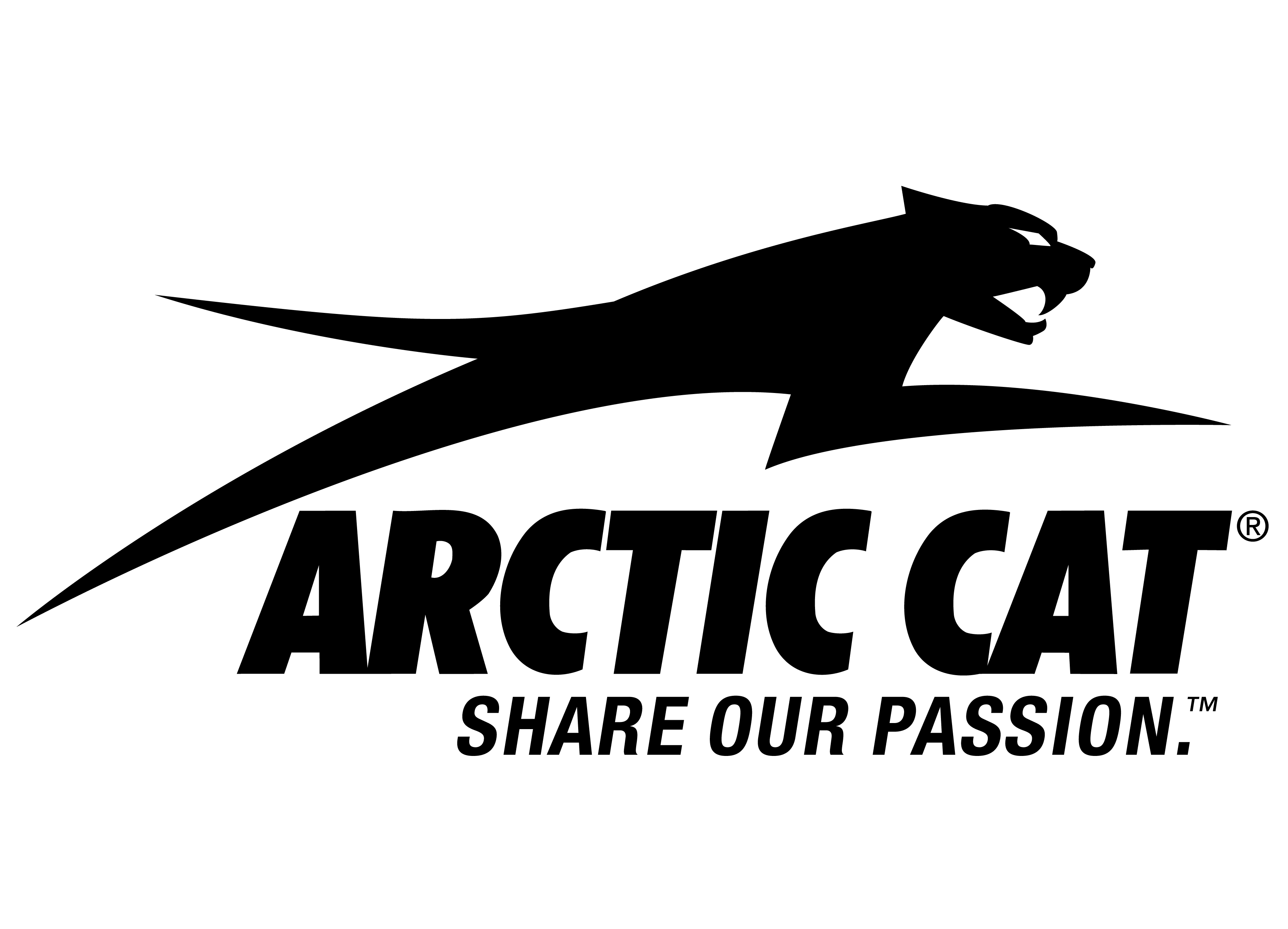ARCTIC CAT Logo