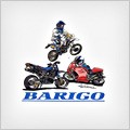 BARIGO 500 RCB